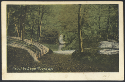 17339 Gezicht in het park van het kasteel Drakestein (Slotlaan) te Lage Vuursche (gemeente Baarn), met op de ...